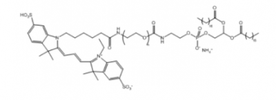 Cy3-PEG-DSPE；Cy3-聚乙二醇-二硬脂酰基磷脂酰乙醇胺