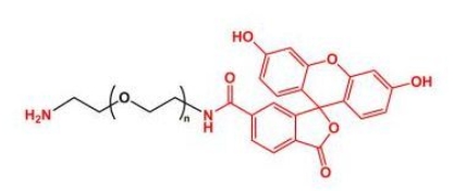 FITC-PEG-NH2；荧光素聚乙二醇氨基；Amine-PEG-FITC