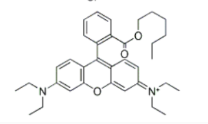 R6; 77933-92-1；罗丹明B己酸酯高氯酸盐