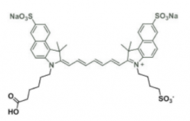 trisulfo-ICG carboxylic acid/水溶性ICG COOH；水溶性吲哚菁绿-羧基