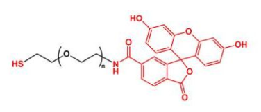 FITC-PEG-SH；荧光素聚乙二醇巯基 ；Thiol-PEG-FITC