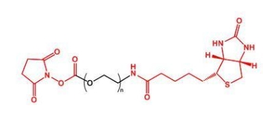 NHS-PEG-Biotin Biotin-PEG-NHS 活性酯聚乙二醇生物素 