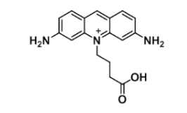 ATTO 465 acid；1156537-96-0