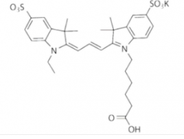 diSulfo-Cy3 Carboxylic Acid(Ethyl)/水溶性CY3 COOH；146368-13-0；水溶性磺酸基Cy3-羧基