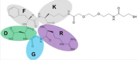 cRGD-PEG-SH的基本信息