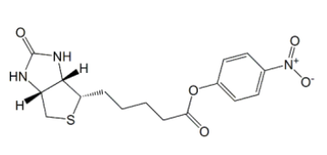 Biotin-ONP (+)-生物素-4-硝基苯酯，33755-53-2