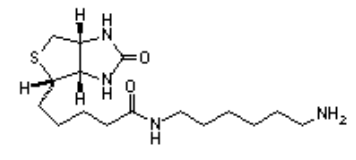 (+)-Biotinyl hexylamine；（+)-生物素己胺