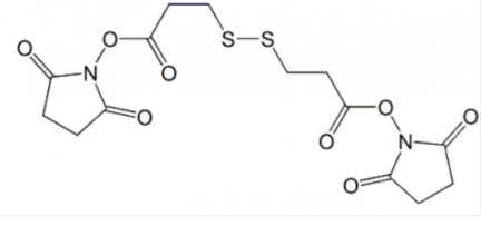 DSP Crosslinker；57757-57-0；3,3'-二硫代二丙酸 二(N-羟基丁二酰亚胺酯)