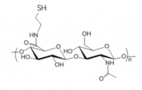 HA-SH；Hyaluronate- Thiol； 透明质酸-巯基