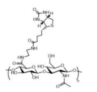 HA-Biotin；透明质酸-生物素；Hyaluronate-Biotin