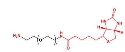 NH2-PEG-Biotin NH2-PEG-BN Biotin-PEG-NH2 氨基聚乙二醇生物素