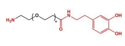 NH2-PEG-Dopamine 氨基聚乙二醇多巴胺 