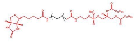  Biotin-PEG-DSPE DSPE-PEG-Biotin  生物素聚乙二醇磷脂