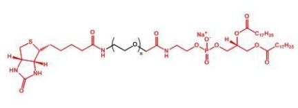 Biotin-PEG-DSPE DSPE-PEG-Biotin	生物素聚乙二醇磷脂