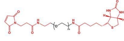 MAL-PEG-Biotin Biotin-PEG-MAL 马来酰亚胺聚乙二醇生物素