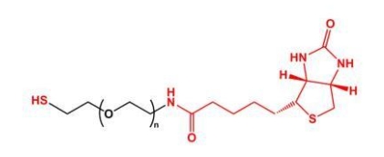  SH-PEG-Biotin Biotin-PEG-SH 巯基聚乙二醇生物素 