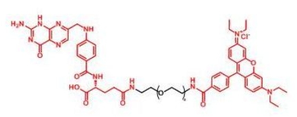  RB-PEG-Folate Folate-PEG-RB  罗丹明聚乙二醇叶酸