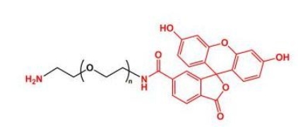 NH2-PEG-FITC Amine-PEG-FITC 荧光素聚乙二醇氨基
