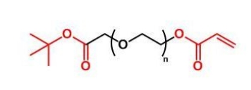 COOtBu-PEG-AC COOtBu-PEG-Acrylate 叔丁酯聚乙二醇丙烯酸酯 