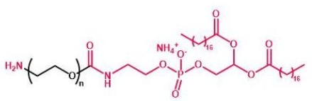 NH2-PEG-DSPE DSPE-PEG-Amine 磷脂聚乙二醇氨基