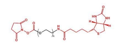  NHS-PEG-Biotin Biotin-PEG-NHS 活性酯聚乙二醇生物素