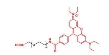NHS-PEG-Rhodamine Rhodamine-PEG-NHS  活性酯聚乙二醇罗丹明