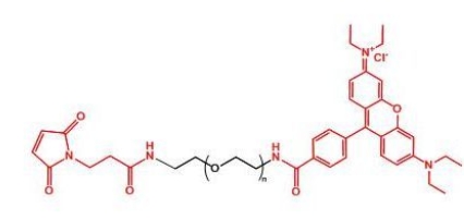  MAL-PEG-Rhodamine	罗丹明聚乙二醇马来酰亚胺 
