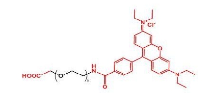 COOH-PEG-Rhodamine RB-PEG-COOH  罗丹明聚乙二醇羧基