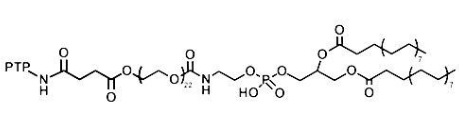  DSPE-PEG-PTP，磷脂-聚乙二醇-胰腺癌靶向肽PTP