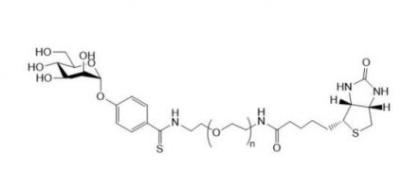 Mannose-PEG-Biotin  甘露糖聚乙二醇生物素