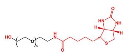  HO-PEG-Biotin Biotin-PEG-OH  羟基聚乙二醇生物素 