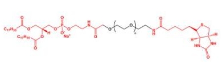 DSPE-PEG-Biotin Biotin-PEG-DSPE  磷脂聚乙二醇生物素 