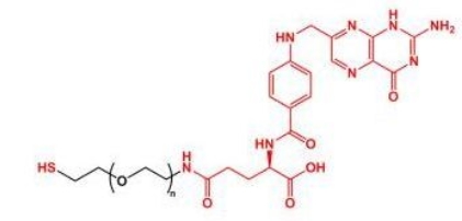 SH-PEG-FA SH-PEG-Folate  叶酸聚乙二醇巯基
