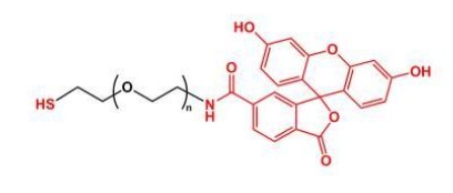 SH-PEG-FITC Thiol-PEG-FITC  荧光素聚乙二醇巯基