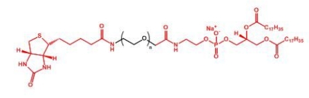  Biotin-PEG-DSPE DSPE-PEG-Biotin  生物素聚乙二醇磷脂