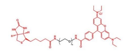 Biotin-PEG-RB RB-PEG-Biotin 生物素聚乙二醇罗丹明 
