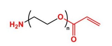 AC-PEG-NH2 NH2-PEG-Acrylate  氨基聚乙二醇丙烯酸酯