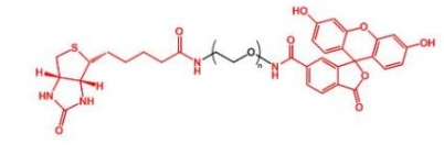  Biotin-PEG-FITC FITC-PEG-Biotin  生物素聚乙二醇荧光素 