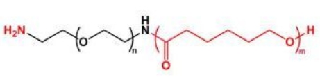  NH2-PEG-PCL PCL-PEG-NH2  聚己内酯聚乙二醇氨基