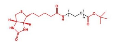 Biotin-PEG-COOtBu Biotin-PEG-TERT  生物素聚乙二醇叔丁酯