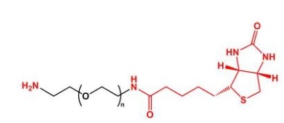 NH2-PEG-BN Biotin-PEG-NH2  氨基聚乙二醇生物素