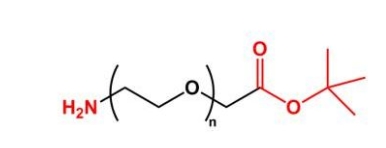 NH2-PEG-COOtBu COOtBu-PEG-NH2  氨基聚乙二醇叔丁酯