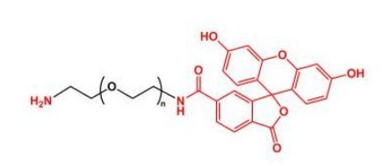 NH2-PEG-FITC Amine-PEG-FITC  荧光素聚乙二醇氨基