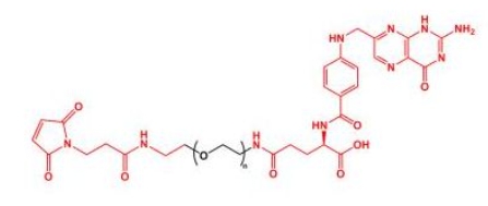 MAL-PEG-FA Folate-PEG-Mal  叶酸聚乙二醇马来酰亚胺