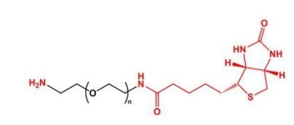 NH2-PEG-BN Biotin-PEG-NH2  氨基聚乙二醇生物素