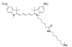 Sulfo Cy5 NH2；2183440-44-8;水溶性五甲川花菁染料标记氨基