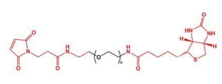  MAL-PEG-Biotin Biotin-PEG-MAL  馬來酰亞胺聚乙二醇生物素 