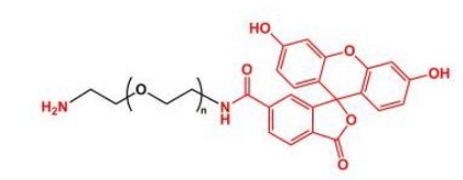  NH2-PEG-FITC Amine-PEG-FITC 荧光素聚乙二醇氨基