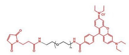 Rhodamine-PEG-MAL MAL-PEG-Rhodamine  罗丹明聚乙二醇马来酰亚胺
