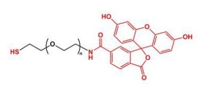SH-PEG-FITC Thiol-PEG-FITC 荧光素聚乙二醇巯基